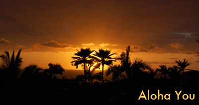 ALOHA HAWAII